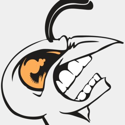 BAW BEE 19 RC Thumbnail