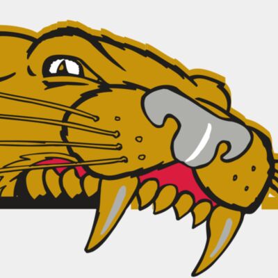 AR COUGAR 73 RC Thumbnail