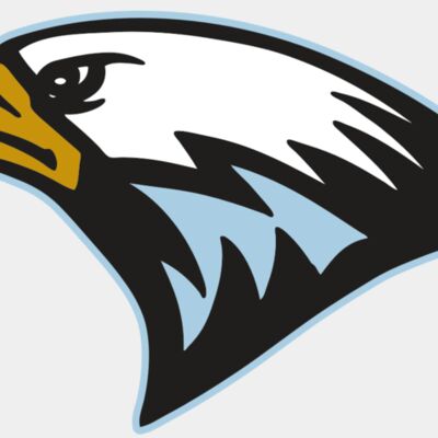 AR EAGLE 27 RC Thumbnail