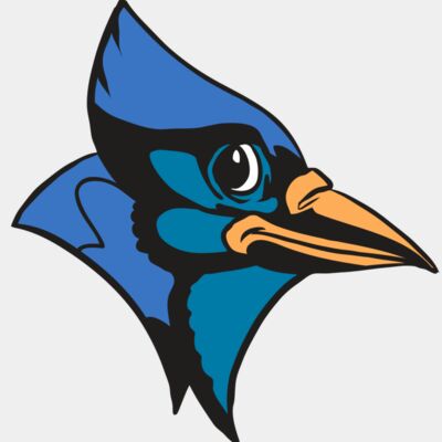 AR31 BLUEJAY 04 RQC Thumbnail