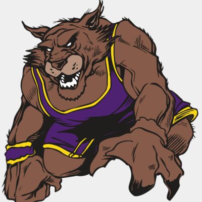 AR WILDCAT 23 RC Thumbnail