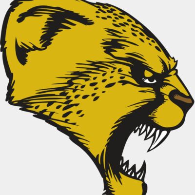 BAW CHEETAH 13 RC Thumbnail