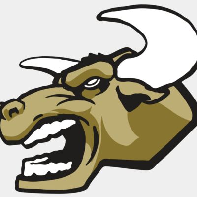 AR3 BULL 01 RQC Thumbnail