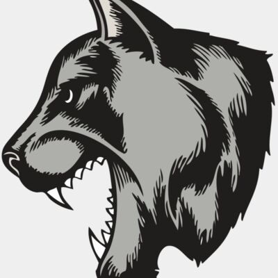 BAW COUG PANTH 06 RC Thumbnail