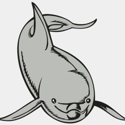 BAW DOLPHIN 02 RC Thumbnail