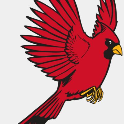 BAW CARDINAL 19 RC Thumbnail