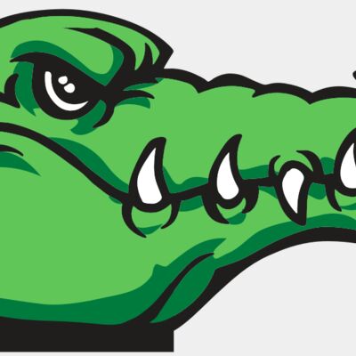 AR GATOR 15 RQC Thumbnail