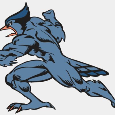 BAW BLUEJAY 15 RC Thumbnail