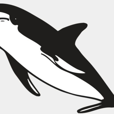 AR DOLPIN 13 RC Thumbnail