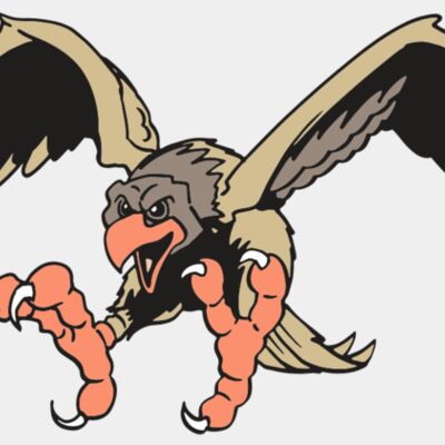 AR EAGLE 15 RC Thumbnail