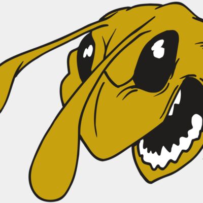 AR5 BEE 26 RQC Thumbnail