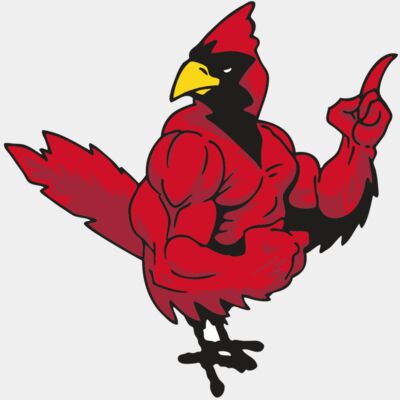 AR CARDINAL 27 RC Thumbnail