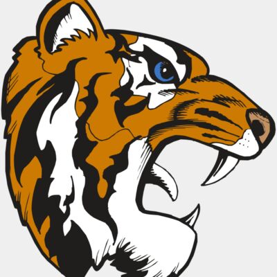 BAW TIGER 08 RC Thumbnail