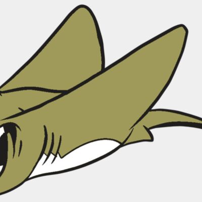 AR19 STINGRAY 07 RQC Thumbnail