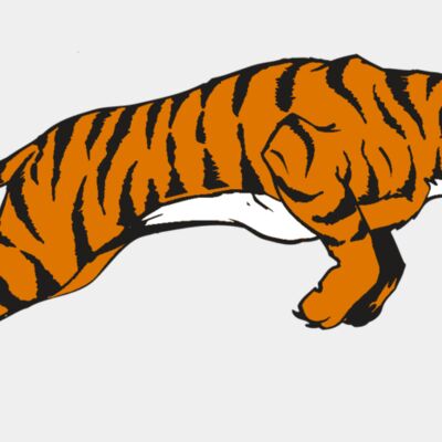 AR TIGER 79 RC Thumbnail