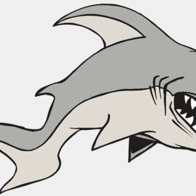 AR5 Shark 10 RQC Thumbnail