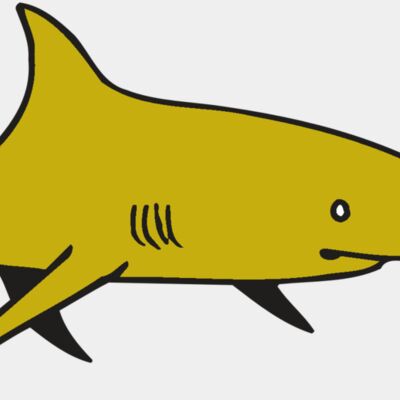 AR  SHARK 30 RC Thumbnail