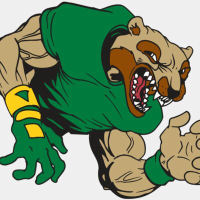 AR5 Wolverine 17 RQC Thumbnail