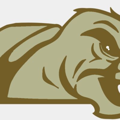 AR5 Turtle 02 RQC Thumbnail