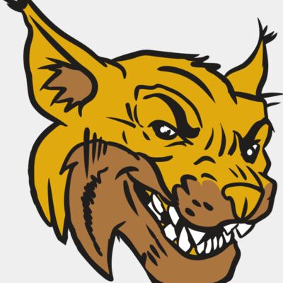 AR15 WILDCAT 01 RQC Thumbnail