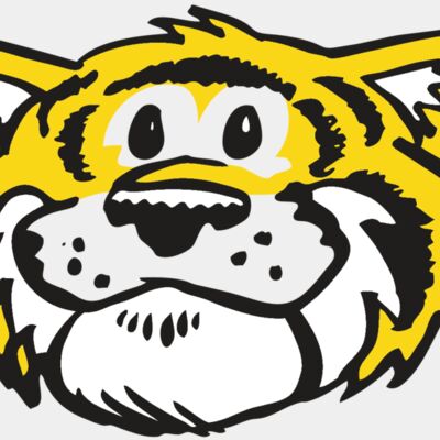 AR TIGER 90 RC Thumbnail