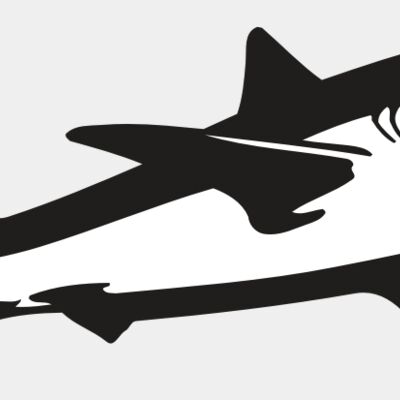 AR5 Shark 15 RQC Thumbnail